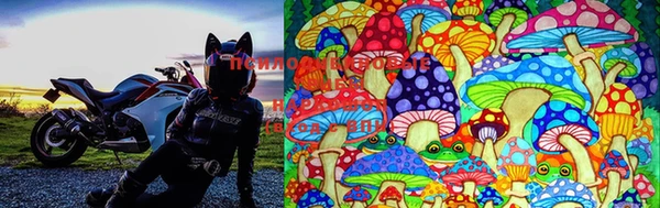 ECSTASY Вязьма